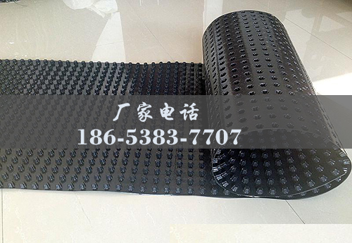 排水板廠家http://cnsnsj.com/