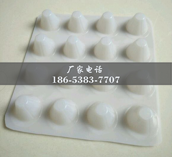 排水板廠家http://cnsnsj.com/