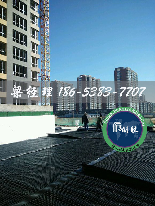 排水板廠家http://cnsnsj.com/